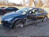TESLA MODEL 3 LONG RANGE DUAL MOTOR ALL-WHEEL DRIVE 5YJ3E1EB1LF600868 fotografie