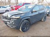 JEEP CHEROKEE TRAILHAWK 4X4 1C4PJMBS4HW647852 снимка