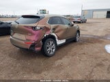 MAZDA CX-30 PREMIUM 3MVDMBDL4MM309882 снимка