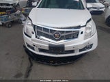 CADILLAC SRX PREMIUM COLLECTION 3GYFNFEY4BS529924 снимка