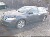 TOYOTA CAMRY XLE V6 4T1BK46KX7U525522 снимка