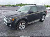 FORD ESCAPE LIMITED 1FMCU0EG0AKC63470 снимка