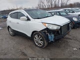 HYUNDAI TUCSON LIMITED PZEV KM8JUCAC4CU538261 снимка