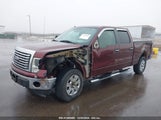 FORD F-150 FX4/HARLEY-DAVIDSON/KING RANCH/LARIAT/PLATINUM/XL/XLT 1FTFW1EV5AFA23811 photo