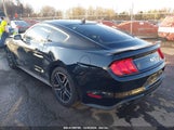 Ford Mustang Gt Fastback 1FA6P8CF4M5145769 снимка