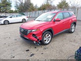 HYUNDAI TUCSON SEL 5NMJBCAE9PH260966 снимка