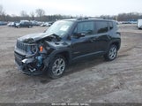 JEEP RENEGADE LIMITED 4X4 ZACNJDD15PPP27701 fotografie