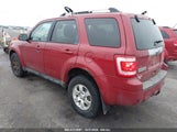 FORD ESCAPE LIMITED 1FMCU9EG6BKB98274 снимка