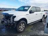 FORD F-150 XLT 1FTEW1EP6HKD31004 снимка