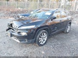 JEEP CHEROKEE LIMITED 1C4PJMDS5HD224478 снимка