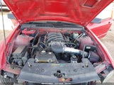 FORD MUSTANG GT 1ZVHT85HX65****** снимка
