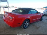 FORD MUSTANG GT 1ZVHT85HX65****** снимка