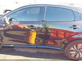 NISSAN ARIYA EVOLVE+ JN1DF0BB4PM709759 снимка
