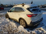FORD ESCAPE SE 1FMCU0G64MU****** снимка