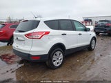 Ford Escape S 1FMCU0F70EUC05187 photo