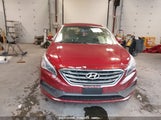 HYUNDAI SONATA SPORT 5NPE34AF3FH049602 photo