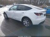 TESLA MODEL Y 7SAYGDEE1PA175881 снимка