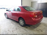 TOYOTA COROLLA LE JTDBU4EE3A9****** photo