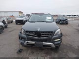 MERCEDES-BENZ ML 350 4MATIC 4JGDA5HB1DA250182 снимка