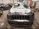 JEEP CHEROKEE LIMITED 1C4PJMDSXEW317089 снимка
