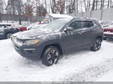 JEEP COMPASS TRAILHAWK 4X4 3C4NJDDB1JT238739 снимка