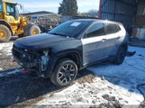 JEEP COMPASS TRAILHAWK 4X4 3C4NJDDB3KT780247 снимка