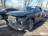 HYUNDAI TUCSON SEL 5NMJBCAE3PH203131 снимка