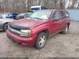 Chevrolet Trailblazer Ls 1GNDT13S972143336 снимка
