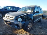 HYUNDAI SANTA FE GLS KM8SC13D36U100031 снимка