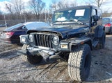 JEEP WRANGLER UNLIMITED 1J4FA49SX4P793320 снимка