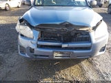 TOYOTA RAV4 2T3BF4DV1AW058183 снимка