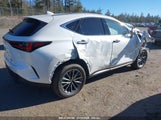 LEXUS NX 350 PREMIUM JTJGGCEZXR2****** fotografie