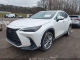 LEXUS NX 350H PREMIUM 2T2GKCEZ7PC****** снимка