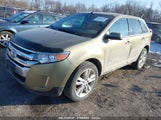 FORD EDGE SEL 2FMDK4JC4DBC18938 fotografie
