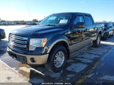 FORD F-150 KING RANCH 1FTFW1ET0EKD57692 photo