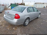 CHEVROLET MALIBU CLASSIC LT 1G1ZT58N58F****** снимка