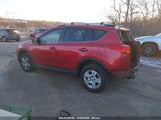TOYOTA RAV4 LE JTMBFREV6EJ****** fotografie