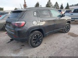 JEEP COMPASS TRAILHAWK 4X4 3C4NJDDB8LT163623 снимка