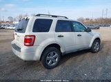 FORD ESCAPE XLT 1FMCU0D7XAK****** fotografie