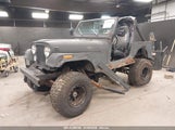 JEEP JEEP CJ7 1JCCE87E4GT****** снимка