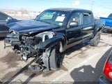 Toyota Tacoma Double Cab 3TMLU42N79M023061 fotografie