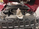 JEEP COMPASS TRAILHAWK 4X4 3C4NJDDBXMT564513 снимка