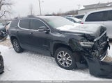 GMC ACADIA AWD SLT 1GKKNULS6LZ136667 снимка