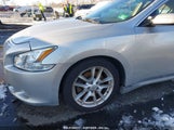 NISSAN MAXIMA 3.5 SV 1N4AA5AP9AC811232 снимка