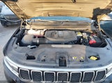 JEEP WAGONEER L SERIES II 4X2 1C4SJRBP6RS****** fotografie