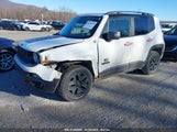 JEEP RENEGADE DESERTHAWK 4X4 ZACCJBCB0HPF32051 снимка