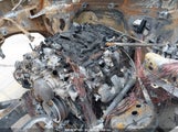 CHEVROLET SILVERADO 1500 2WD LONG BED WT 3GCNWAEF1MG308061 photo