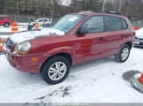 HYUNDAI TUCSON GLS KM8JM12BX9U****** снимка