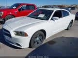 DODGE CHARGER POLICE 2C3CDXAG5DH719661 снимка