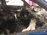 CHEVROLET COLORADO 1GCHSCEN3M1114481 снимка
